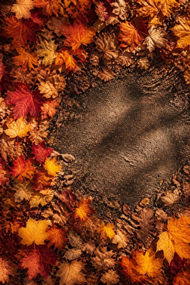 Dirt patch surrounded by colorful autumn leaves