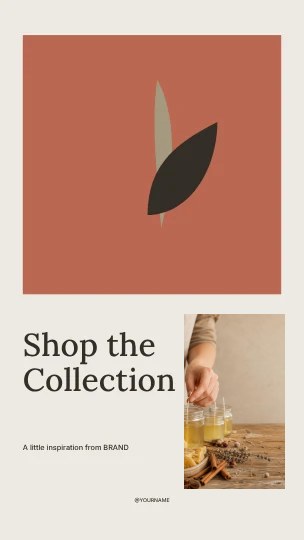 Shop the Collection · Gallery instagram story template