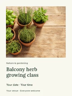 Fresh herb plants in terracotta pots in Balcony herb growing class poster · Gallery editorial
