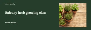 Fresh herb plants in terracotta pots in Balcony herb growing class banner · Horizontal photo dialogue