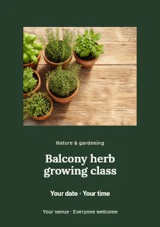 Fresh herb plants in terracotta pots in Balcony herb growing class flyer · Picture window