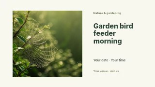 dew-covered spider web on green foliage in Garden bird feeder morning youtube thumbnail · Horizontal photo dialogue