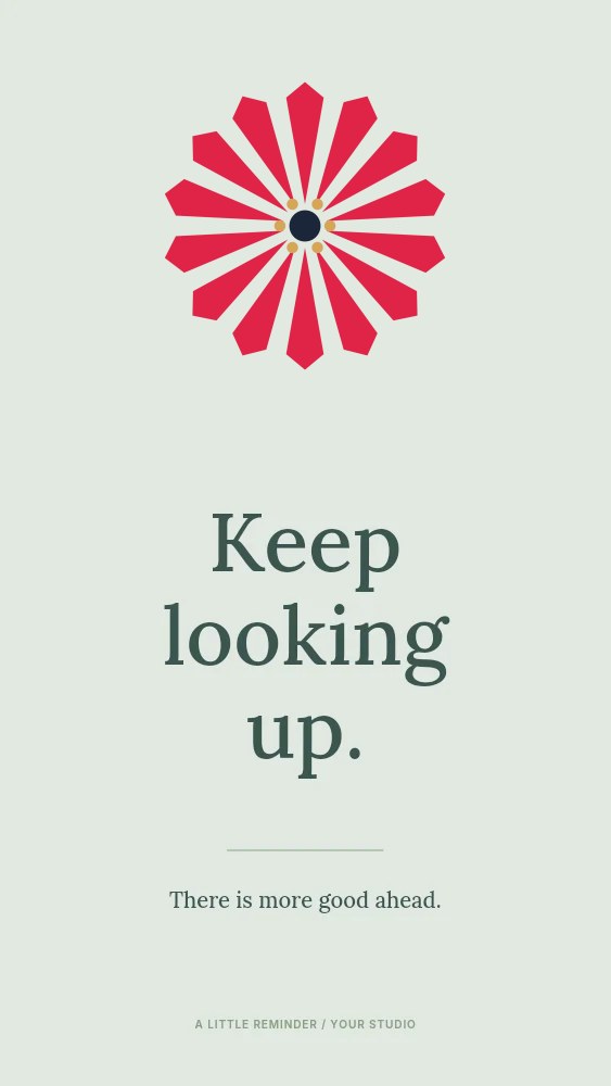 Ray flower · 14 petals and stamen centre in Keep looking up · Quote story