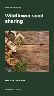 Variety of garden seed packets and gardening tools in Wildflower seed sharing instagram story · Title & photograph