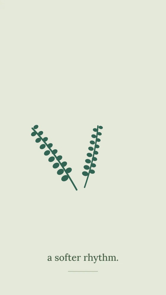 Eucalyptus foliage · spray arrangement with 8 leaf pairs in A softer rhythm · Botanical wallpaper