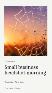 Web covered with dewdrops at sunrise in Small business headshot morning instagram story · Gallery editorial