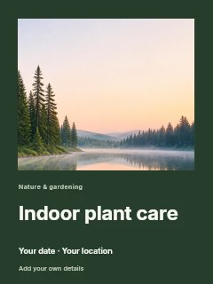 Serene forest lake at dawn in Indoor plant care · Gallery editorial