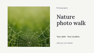 Dew-covered spider web in grass in Nature photo walk · Horizontal photo dialogue