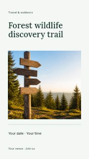 Forest wildlife discovery trail instagram story template · Title & photograph