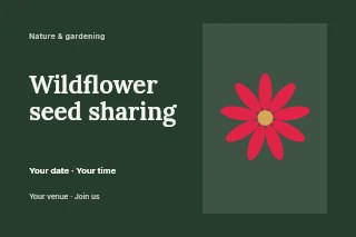 Daisy flower · 9 petals and seed centre in Wildflower seed sharing postcard · Horizontal photo dialogue