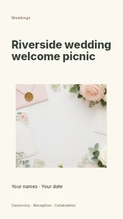 Riverside wedding welcome picnic instagram story template · Modern programme