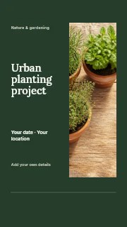 Fresh herb plants in terracotta pots in Urban planting project · Split portrait